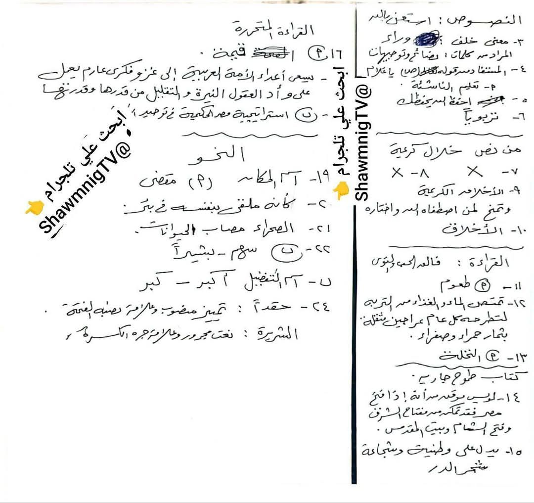 f17efa0b45.jpg