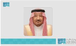 نائب وزير الخارجية