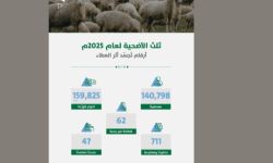 مبادرة