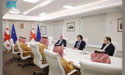 رئيس وزراء جورجيا يستقبل الرئيس التنفيذي للصندوق السعودي للتنمية