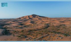 هيئة تطوير محمية الملك عبدالعزيز