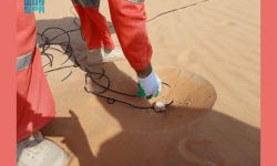 المركز الوطني لتنمية الغطاء النباتي ومكافحة التصحر