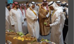 محافظ أملج يدشّن فعاليات مهرجان المانجو الرابع