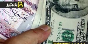 سعر الدولار أمام الجنيه المصري في تعاملات اليوم الأحد 1-9-2024