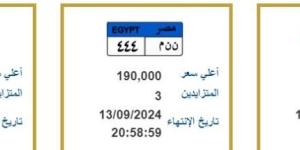 سيف بسعر ربع مليون جنيه .. الداخلية تطرح لوحات معدنية مميزة تدخل المنافسة