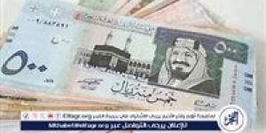 ارتفاع طفيف في سعر الريال السعودي مقابل الجنيه المصري اليوم الخميس 12 سبتمبر 2024