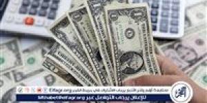 استقرار ملحوظ في سعر الدولار بالبنوك المصرية بعد تقلبات الأسبوع الماضي