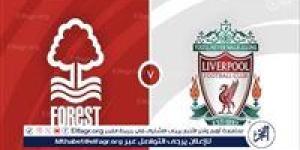 يلا كورة لايف.. مشاهدة مباراة ليفربول ضد نوتنجهام فورست Liverpool vs Nottingham Forest مباشر دون تقطيع | الدوري الإنجليزي الممتاز 2024