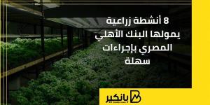 8 أنشطة زراعية يمولها البنك الأهلي المصري بإجراءات سهلة