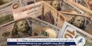 استقرار سعر الدولار مقابل الجنيه المصري اليوم الاثنين 16 سبتمبر 2024