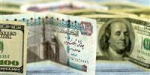 سعر الدولار مقابل الجنيه المصري اليوم الأربعاء في البنوك المصرية