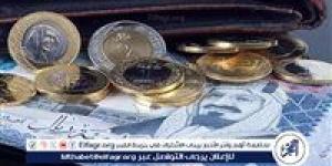 سعر الريال السعودي أمام الجنيه داخل البنوك في تعاملات اليوم الجمعة 20-9-2024: تفاصيل البيع والشراء