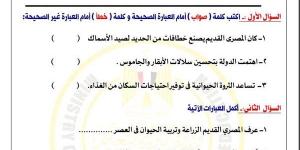 مراجعات نهائية.. أسئلة تقييم الاسبوع الـ 13 في الدراسات الاجتماعية لـ الصف الخامس الابتدائي