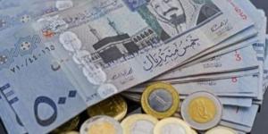 سعر الريال السعودي في مصر مقابل الجنيه اليوم الأحد