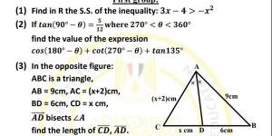 مراجعات نهائية.. أسئلة تقييم الأسبوع الـ 14 الرياضيات Math الصف الأول الثانوي