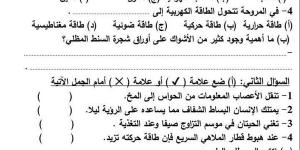 مراجعات نهائية.. 6 نماذج امتحان بالنظام الجديد في العلوم لـ الصف الرابع الابتدائي