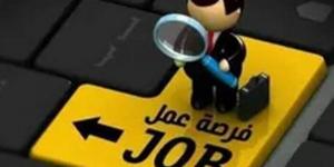 فرص عمل مزيفة.. التحقيق مع «مستريح جديد» في الجيزة