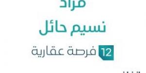 مزاد نسيم حائل في السوق العقاري السعودي تحت متابعة مزادات إنفاذ
