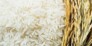 سعر طن الأرز الشعير اليوم الثلاثاء 24 يونيو 2025 في الأسواق