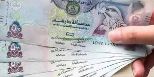 تراجع سعر الدرهم الإماراتي اليوم الثلاثاء 24 يونيو 2025 أمام الجنيه المصري