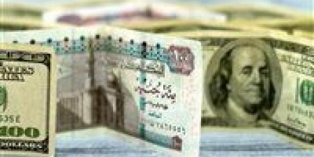 سعر الدولار مقابل الجنيه المصري اليوم الثلاثاء 24 سبتمبر 2024