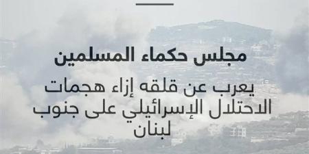 حكماء المسلمين يعرب عن قلقه إزاء هجمات الاحتلال على جنوب لبنان