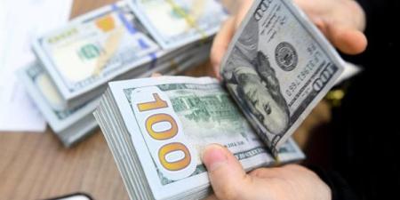 سعر الدولار اليوم الثلاثاء 24-9-2024 في البنك المركزي المصري