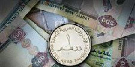 سعر الدرهم الإماراتي مقابل الجنيه اليوم الأربعاء 25-9-2024