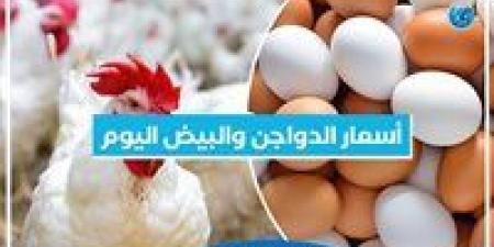 أسعار الدواجن والبيض اليوم الأحد 29-9-2024 بمحافظة البحيرة