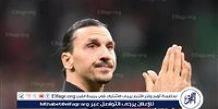 استدعاء نجل إبراهيموفيتش لأول مرة إلى منتخب السويد للشباب