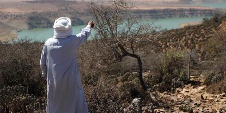 "نمو رهين بسخاء السماء" .. تفسيرات اقتصاديين للتطورات الفصلية بالمغرب