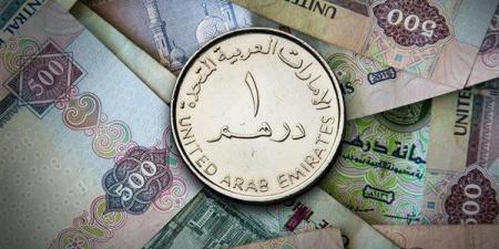 سعر الدرهم الإماراتي اليوم الجمعة 4-10-2024 في البنك المركزي المصري