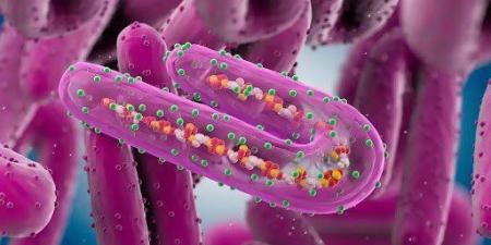 فيروس جديد يهدد العالم.. ماذا تعرف عن "ماربورغ" وما أعراضه وطرق انتقاله للبشر؟
