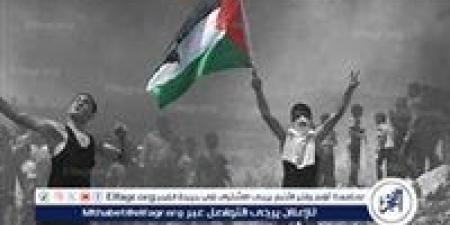 معاناة امرأة فلسطينية في غزة: قصة نورا وسط الحرب والحصار