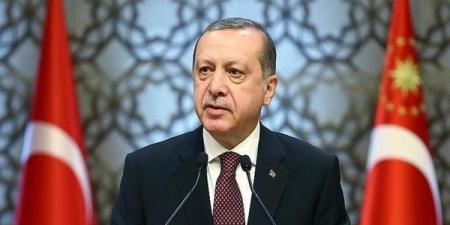 رويترز: إردوغان يشير لاحتمال إجراء تعديل وزاري وتعيين نواب جدد لرئيس الحزب الحاكم