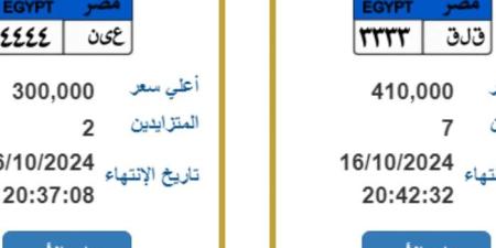 «ق ل ق _ 3333» و« ع ى ن _ 4444»، المرور تطرح لوحات معدنية مميزة للتزايد