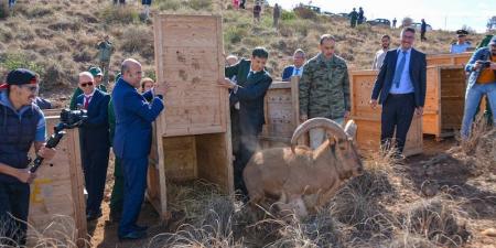 المياه والغابات تطلق مبادرات بجرادة