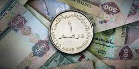 سعر الدرهم الإماراتي في عدن وحضرموت اليوم الأربعاء 18 - 12 - 2024