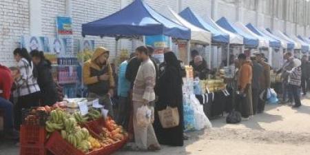 نائبة: هناك جهود ملموسة فى دعم وتنمية الصعيد والحرص على تقديم الخدمات للأهالى