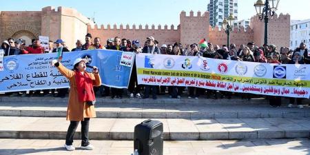 احتجاج يرفض "قانون الإضراب"