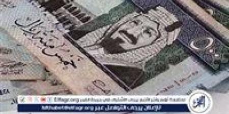 سعر الريال السعودي اليوم الأحد 29 ديسمبر 2024.. تفاصيل العملة السعودية بعد الانخفاض الأخير