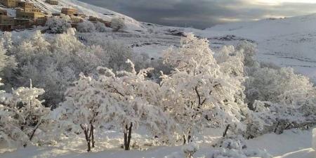 الثلوج تكسو مرتفعات إقليم ورزازات .. مناظر خلابة تخفي "معركة البقاء"