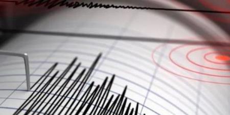 زلزال بقوة 4.9 درجات يضرب الأرجنتين