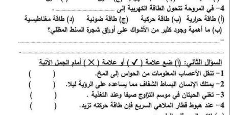 مراجعات نهائية.. 6 نماذج امتحان بالنظام الجديد في العلوم لـ الصف الرابع الابتدائي