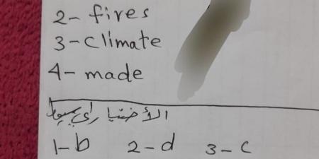 تداول امتحان اللغة الإنجليزية للشهادة الإعدادية محافظة أسيوط على مواقع الغش