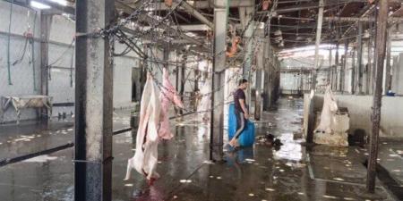 السكرتير العام المساعد لمحافظة الإسماعيلية يتفقد المجزر الآلي بأبو خليفة وأبو صوير