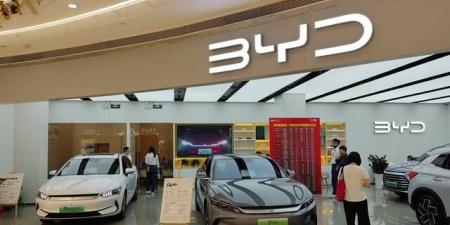 "بي واي دي" تحقق أفضل مبيعات شهرية في 2025