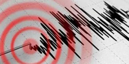 الهيئة المصرية للزلازل ..تعلن عن هزة أرضية بمنطقة الجيزة