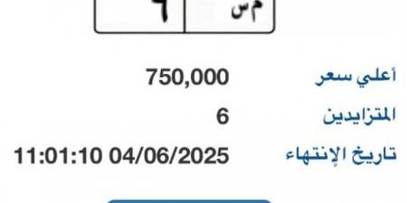 بوابة مرور مصر الإلكترونية تتطرح لوحة مميزة سعرها 750 ألف جنية