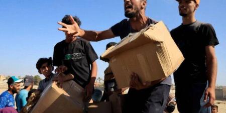المساعدات تحوّلت إلى مأساة.. جيش الاحتلال يعترف بجريمته في رفح
